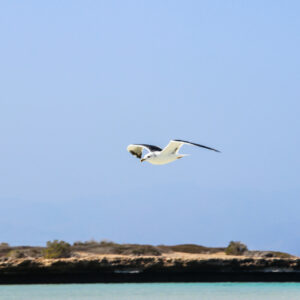 The Blue Lagoon by Camille Massida Photography